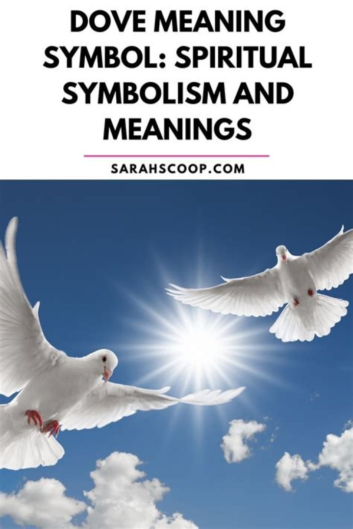 The Ultimate Guide To Peace: Understanding The Meaning Of The Dove With Letter